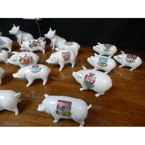 63 - Shelf of Crested China Pigs