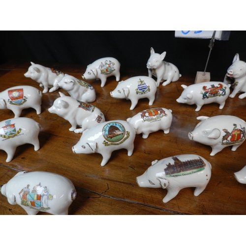 63 - Shelf of Crested China Pigs