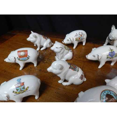 63 - Shelf of Crested China Pigs