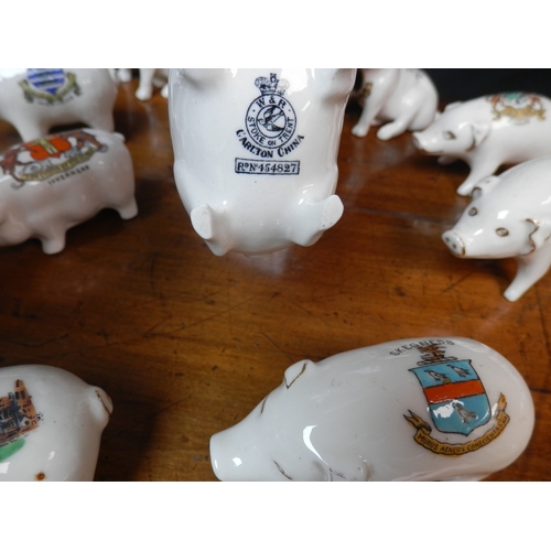 63 - Shelf of Crested China Pigs