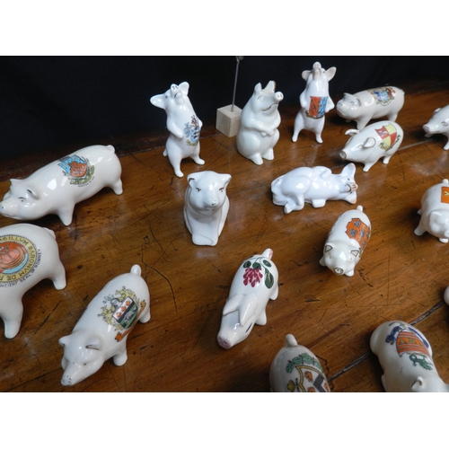 64 - Shelf of Crested China Pigs