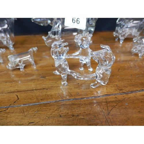 66 - Collection of Eight Hand Blown Glass Pigs