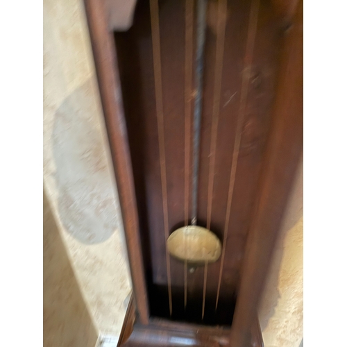 638 - Regency Long Case Clock by Finer & Newland London, 8 Day Movment, With Pendulum and Weights