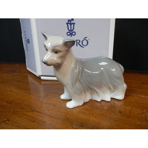 256 - Lladro Yorkshire Terrier 8318 in Box