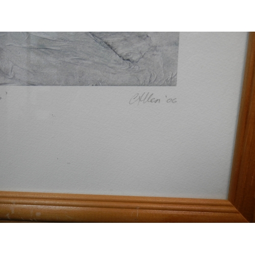 575 - Pencil signed Ltd Edition Print, C Allen 2006, Titled Winter Interpretation. 30cm x 23cm