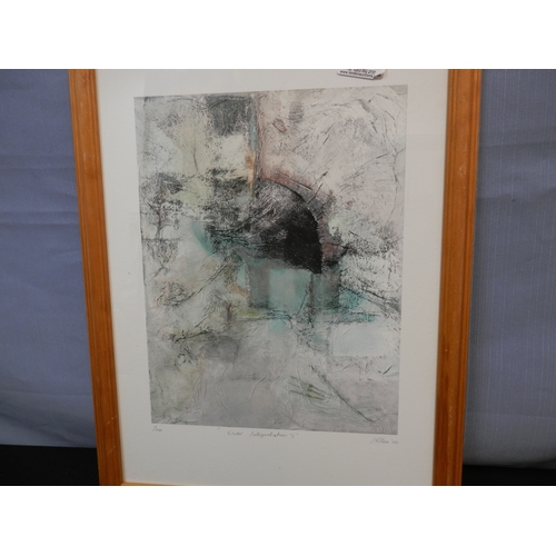 575 - Pencil signed Ltd Edition Print, C Allen 2006, Titled Winter Interpretation. 30cm x 23cm