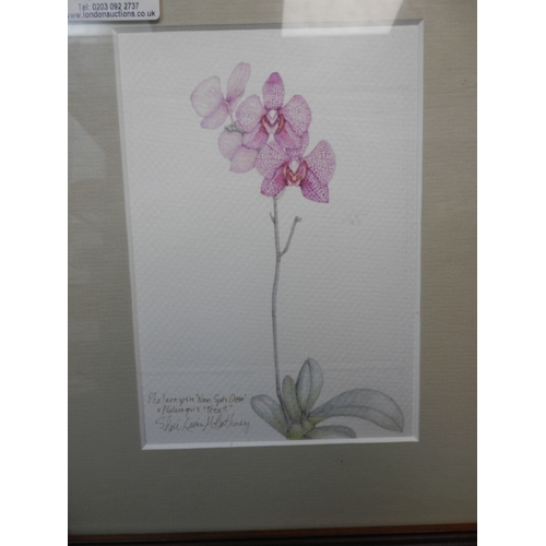 577 - Sheri Levin McNerthney: Watercolour of Orchids. Signed and Titled 16cm x 12cm