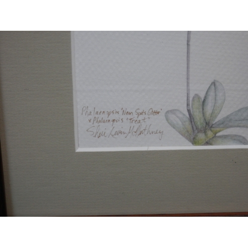 577 - Sheri Levin McNerthney: Watercolour of Orchids. Signed and Titled 16cm x 12cm