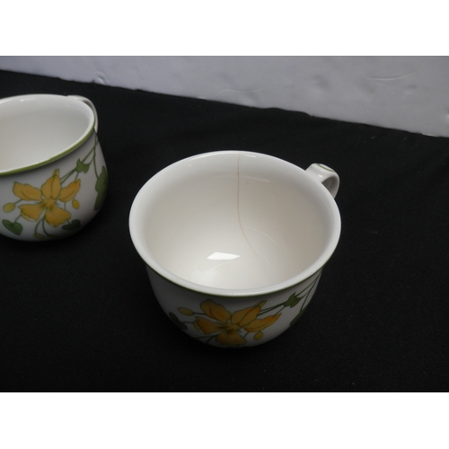 582 - Villeroy & Boch Geranium Dinner Service