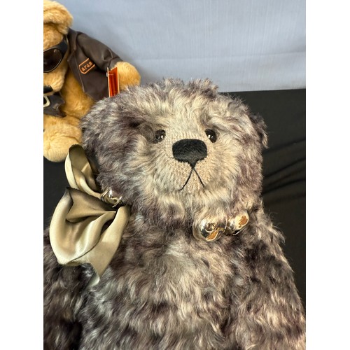 687 - Aramis Speed Demon Bear plus a Cotswold Bear Company Bear