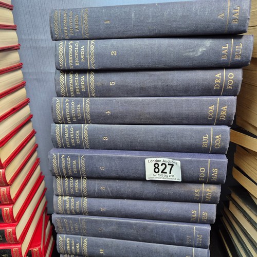 827 - A Good Collection of Vintage & Antique Books