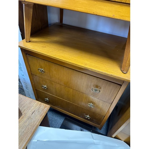 648C - Pair of Mid Century Chest of Drawers