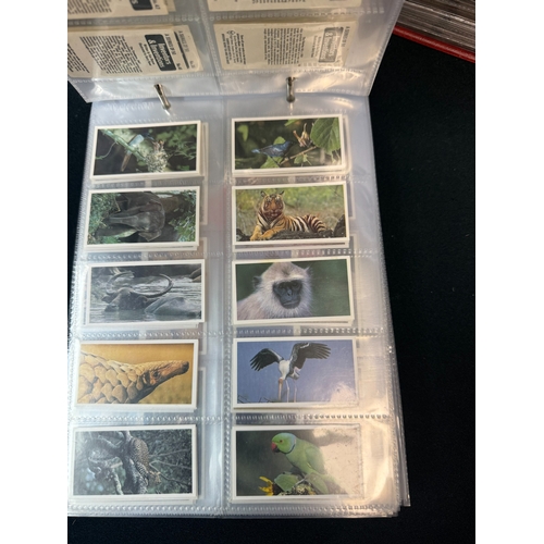 396B - Four Leather Collectors Card Albums containing Approx 50 Complete Sets of Brooke Bonds Tea Cards inc... 