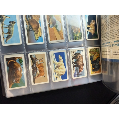 396D - Two Albums containing Brooke Bond Tea Card Complete Sets- Wildlife Themed, mostly some including Alb... 