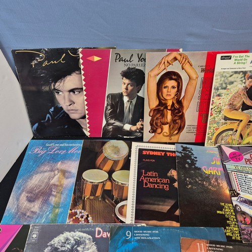 230 - Mixed Lot of Assorted Vinyl Records