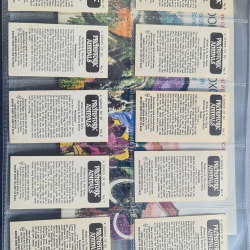 201A - Three Albums of Tea Cards to include PG Tips, Brooke Bond etc. Disney, Teenage Mutant Ninja Turtles ... 