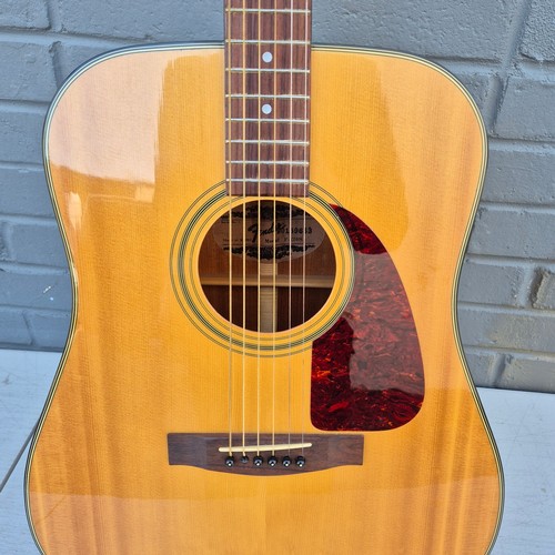 32 - A Fender F-210S Electric Guitar in Case