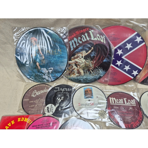 143 - A Collection of Vinyl Picture Discs to include Bat Out Of Hell, Freebird and others