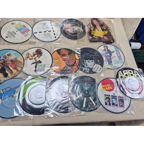 143 - A Collection of Vinyl Picture Discs to include Bat Out Of Hell, Freebird and others