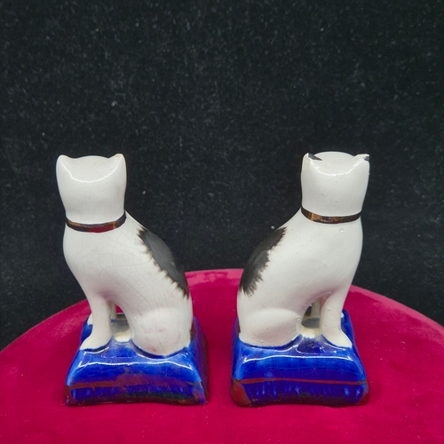 78 - A Pair of Miniature Antique Staffordshire Cats