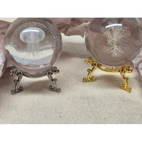 56 - Two Decorative Crystal Balls, one containing a Jellyfish and another