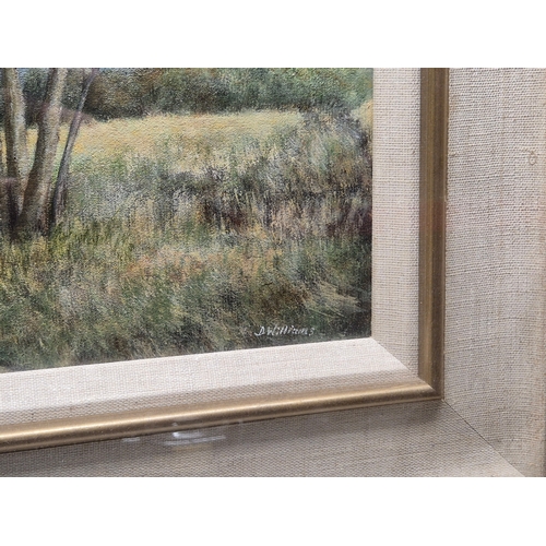 753 - A 20th Century Framed Oil Painting of River Gripping, Bamford, Suffolk. Signed D Williams, 33cm x 47... 