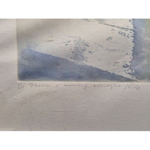 759 - Framed Donald Wilkins Signed Ltd Edition Print (72cm x 59cm)