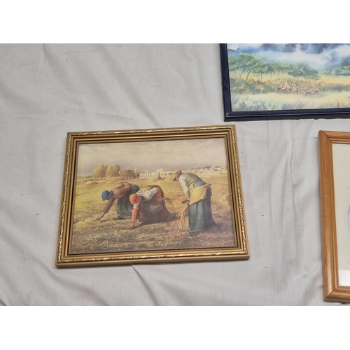 686 - A Collection of Framed Artwork