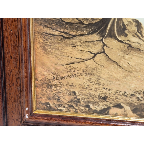 695 - A Vintage Autumn Ash Print by P Lightfoot (approx 124cm x 63cm)