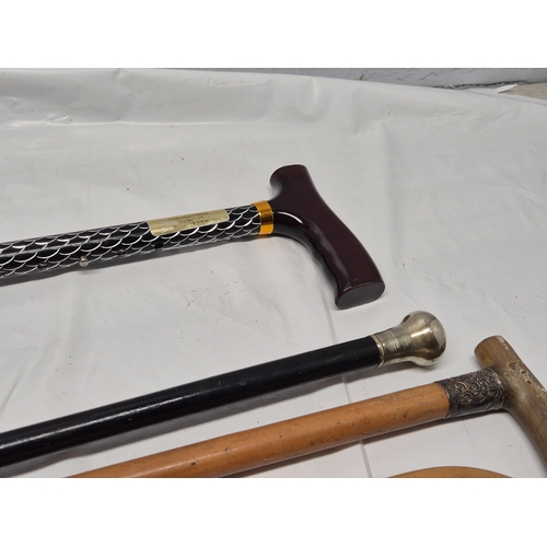 676A - A Collection of Walking Sticks to include Silver Handled example