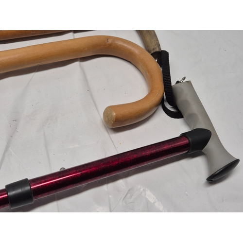 676A - A Collection of Walking Sticks to include Silver Handled example