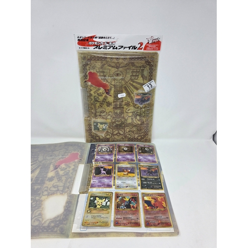 Lot 13        