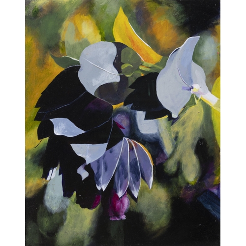 199 - Rosemary McLoughlin (Contemporary)  Cerinthe 1 Acrylic on board, 40 x 50cm  Signed and inscribed ver... 