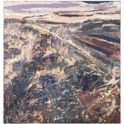 249 - Deirdre Meaney (Contemporary) 'Bogland Graves' Acrylic on board, 47 x 44cm