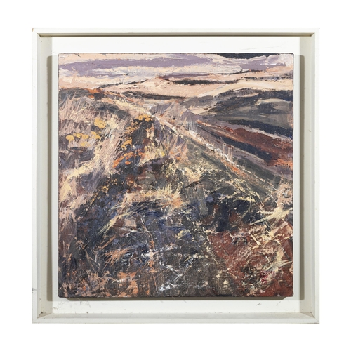 249 - Deirdre Meaney (Contemporary) 'Bogland Graves' Acrylic on board, 47 x 44cm