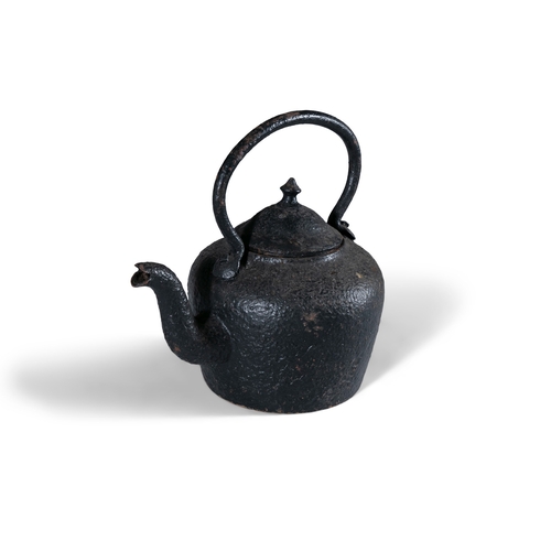 181 - A LARGE VICTORIAN BLACK CAST IRON TEA-KETTLE,   with fitted lid and raised loop handle, 38cm high, 3... 