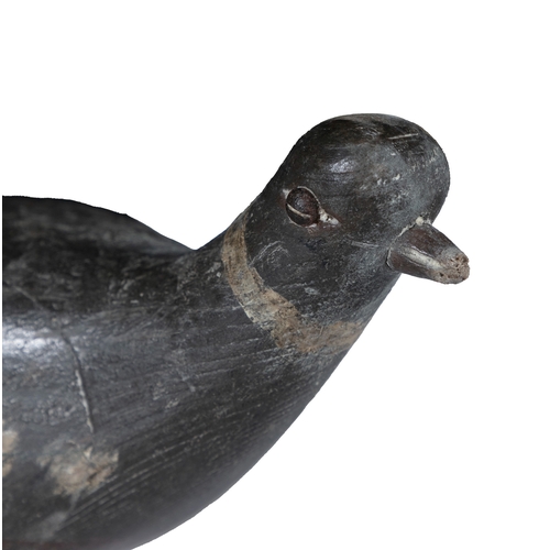 210 - A PAINTED CARVED TIMBER DECOY MODEL OF A PIDGEON  with a hinged support beneath. 30cm long, 9cm wide... 