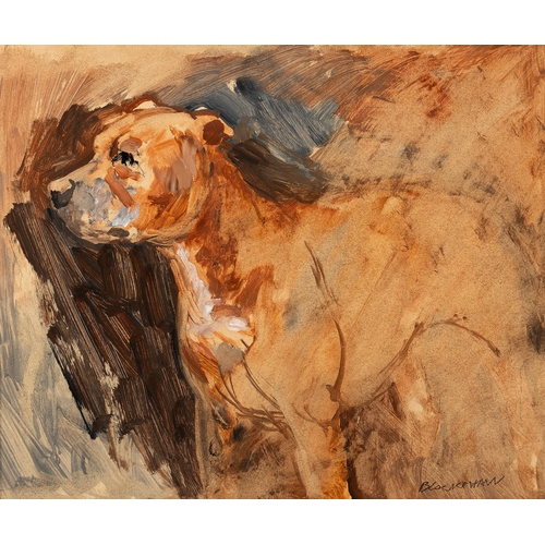 3 - Basil Blackshaw (1932-2016) Dog Oil on board, 34 x 43cm (13¼ x 17'') Signed