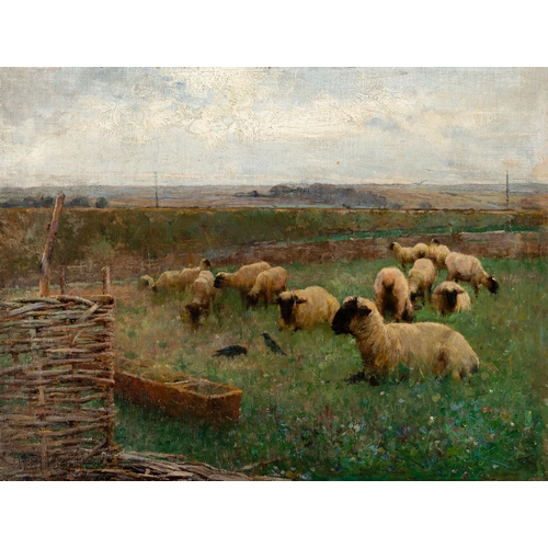 32 - Walter Frederick Osborne RHA (1859 - 1903) Sheep in a Field Oil on canvas, 36 x 47cm (14¼ x 18½) Sig... 