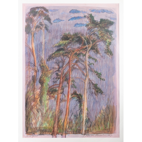 14 - Brian Bourke HRHA (b.1936)  Scots Pine Pastel , 75 x 55cm  Signed, inscribed and dated (19)97