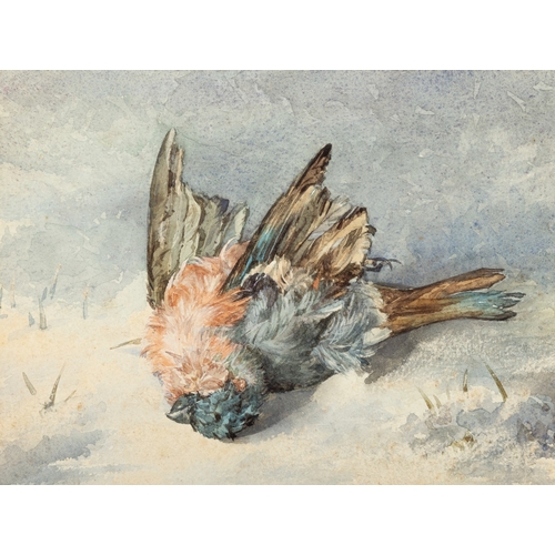 39 - FANNY W. CURREY (1848-1917) Bird study, Winter Watercolour 15 x 20cm  Provenance: Adam’s, 7 December... 