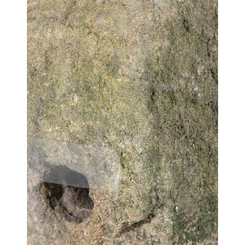 339 - THE BALLYSHANNON HEAD,  Probably a Celtic limestone head, 1st-4th century, carved with flattened pro... 