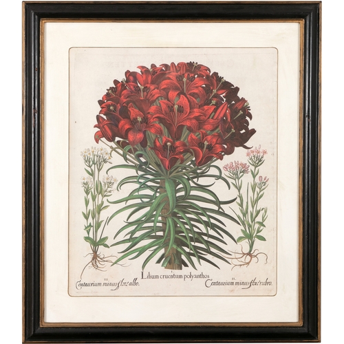 504 - - PLEASE NOTE THE DESCRIPTION SHOULD READ ‘AFTER BASILIUS BESLER AND THESE ARE HAND-COLOURED PRINTS*... 