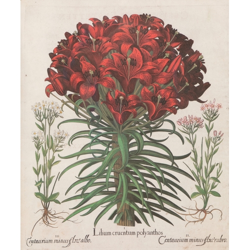 504 - - PLEASE NOTE THE DESCRIPTION SHOULD READ ‘AFTER BASILIUS BESLER AND THESE ARE HAND-COLOURED PRINTS*... 