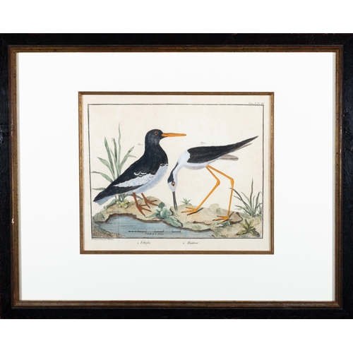 505 - A SET OF FIVE ORNITHOLOGICAL PRINTS BY FRANCOIS MARTINET,  Framed hand coloured engraving from Briss... 