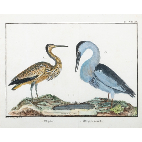 505 - A SET OF FIVE ORNITHOLOGICAL PRINTS BY FRANCOIS MARTINET,  Framed hand coloured engraving from Briss... 