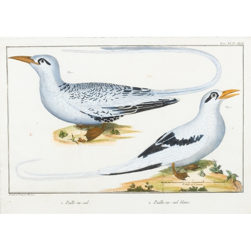 505 - A SET OF FIVE ORNITHOLOGICAL PRINTS BY FRANCOIS MARTINET,  Framed hand coloured engraving from Briss... 