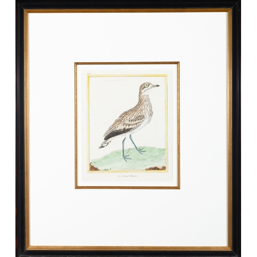 506 - TWO ORNITHOLOGICAL FRAMED PRINTS AFTER FRANCOIS NICOLAS MARTINET,  'Le Grebe Hupe' and 'Le Grand Plu... 