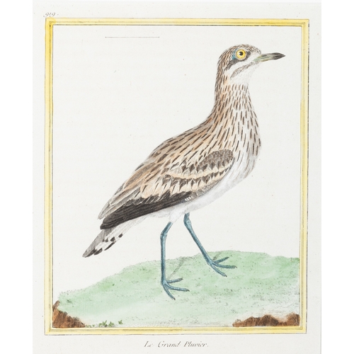 506 - TWO ORNITHOLOGICAL FRAMED PRINTS AFTER FRANCOIS NICOLAS MARTINET,  'Le Grebe Hupe' and 'Le Grand Plu... 