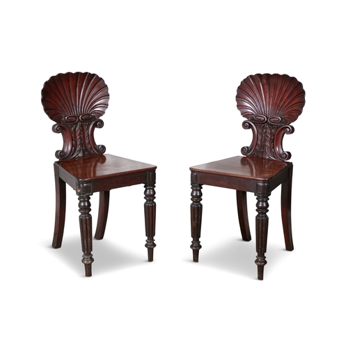 542 - A PAIR OF GEORGE IV MAHOGANY HALL CHAIRS,  with carved scallop shell backs raised on opposing scroll... 